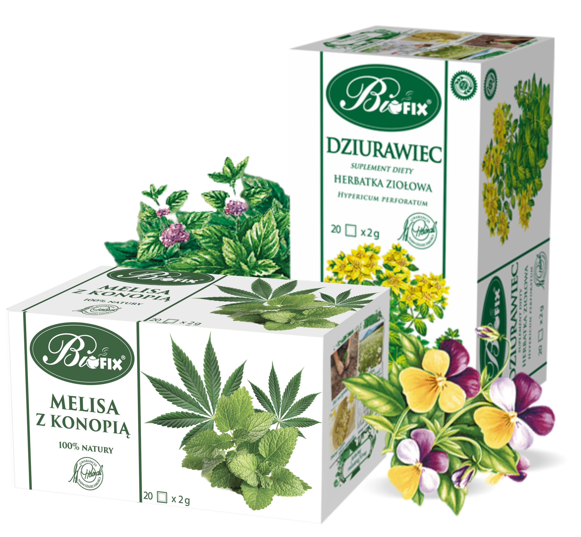 Herbaty ziołowe ekspresowe
